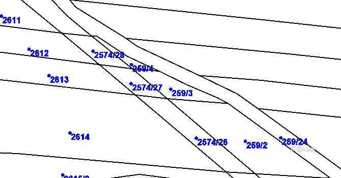 Parcela st. 259/3 v KÚ Radětice u Bechyně, Katastrální mapa