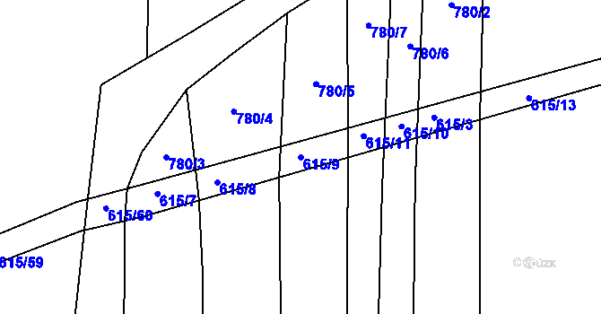 Parcela st. 615/9 v KÚ Radětice u Bechyně, Katastrální mapa