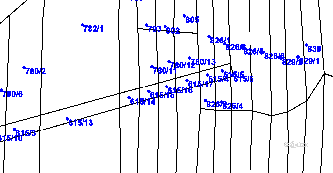 Parcela st. 615/16 v KÚ Radětice u Bechyně, Katastrální mapa