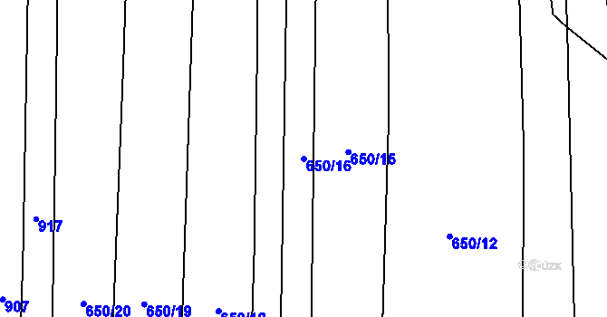 Parcela st. 650/16 v KÚ Radětice u Bechyně, Katastrální mapa