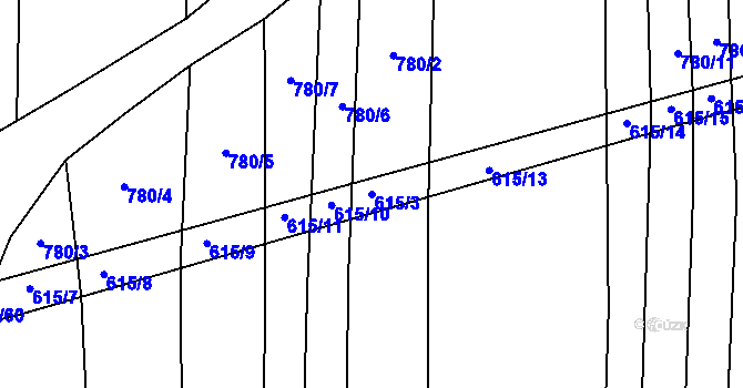 Parcela st. 615/3 v KÚ Radětice u Bechyně, Katastrální mapa