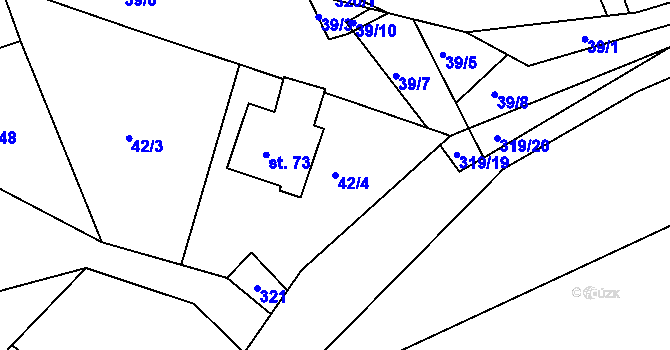 Parcela st. 42/4 v KÚ Radíkovice, Katastrální mapa