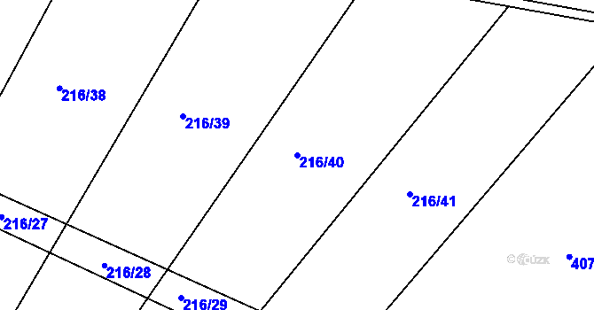 Parcela st. 216/40 v KÚ Radíkovice, Katastrální mapa