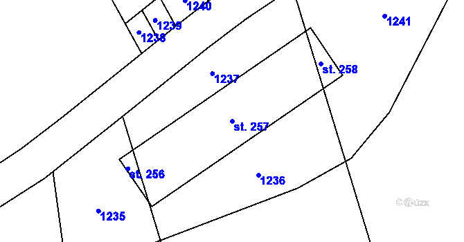Parcela st. 257 v KÚ Dřevěnice, Katastrální mapa