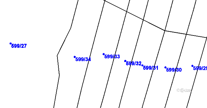 Parcela st. 599/33 v KÚ Radimovice u Želče, Katastrální mapa
