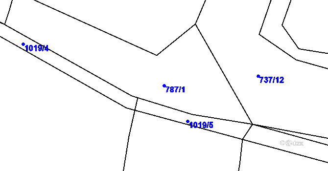 Parcela st. 787/1 v KÚ Radimovice u Želče, Katastrální mapa