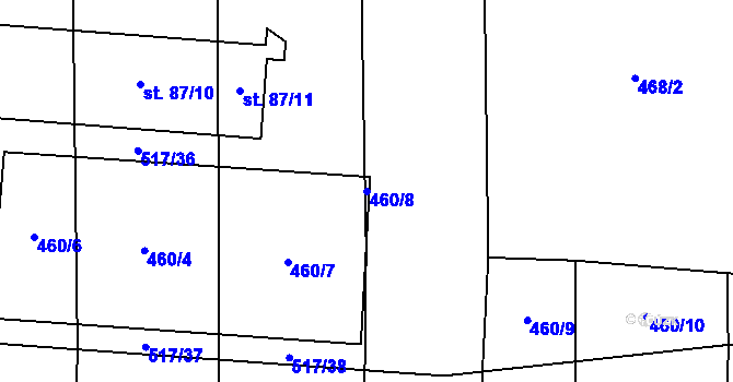 Parcela st. 460/8 v KÚ Radkov u Tábora, Katastrální mapa