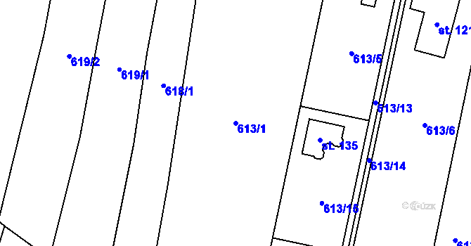 Parcela st. 613/1 v KÚ Radkov u Tábora, Katastrální mapa