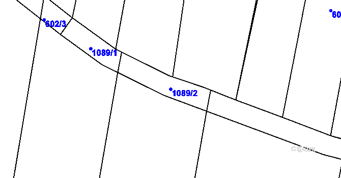 Parcela st. 1089/2 v KÚ Radkov u Tábora, Katastrální mapa