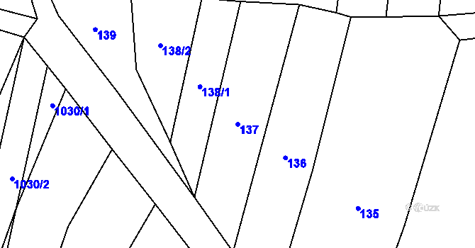 Parcela st. 137 v KÚ Radkov u Tábora, Katastrální mapa
