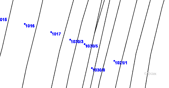 Parcela st. 1030/5 v KÚ Radkov u Tábora, Katastrální mapa