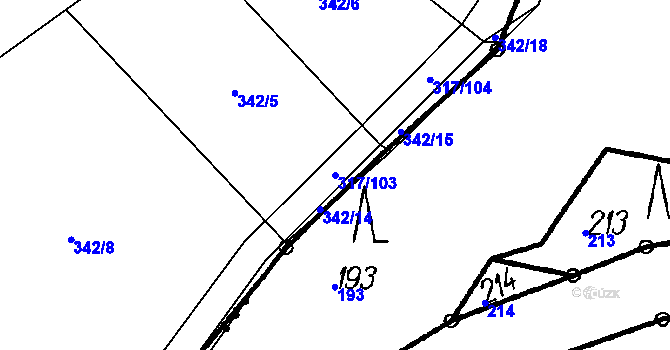 Parcela st. 317/103 v KÚ Radkov u Tábora, Katastrální mapa