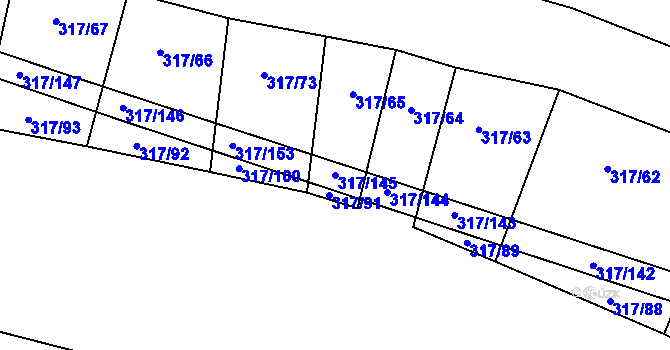 Parcela st. 317/145 v KÚ Radkov u Tábora, Katastrální mapa