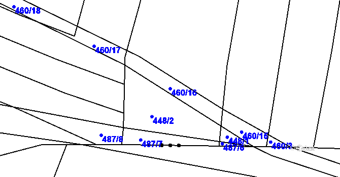 Parcela st. 460/16 v KÚ Radkov u Tábora, Katastrální mapa
