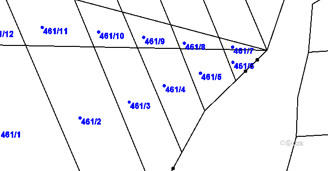 Parcela st. 461/4 v KÚ Radkovice u Budče, Katastrální mapa