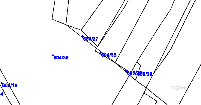 Parcela st. 604/55 v KÚ Radlice u Volfířova, Katastrální mapa