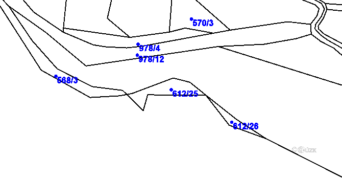 Parcela st. 612/25 v KÚ Radlice u Volfířova, Katastrální mapa