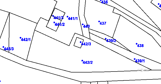 Parcela st. 442/3 v KÚ Rádlo, Katastrální mapa