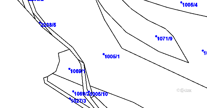 Parcela st. 1005/1 v KÚ Radnice u Rokycan, Katastrální mapa