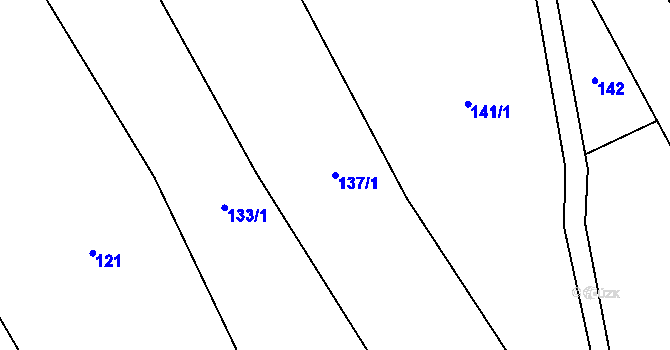 Parcela st. 137/1 v KÚ Skomelno, Katastrální mapa