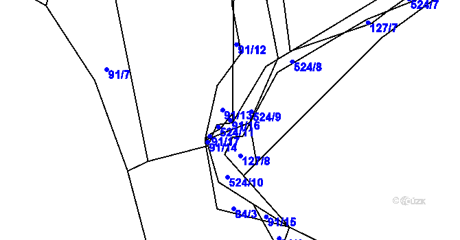 Parcela st. 91/16 v KÚ Radňov u Rynárce, Katastrální mapa