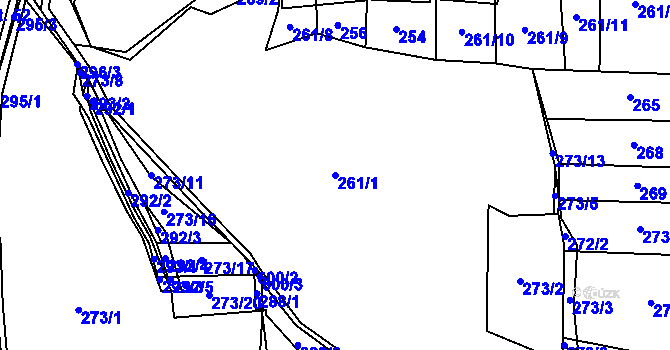 Parcela st. 261/1 v KÚ Domanice, Katastrální mapa