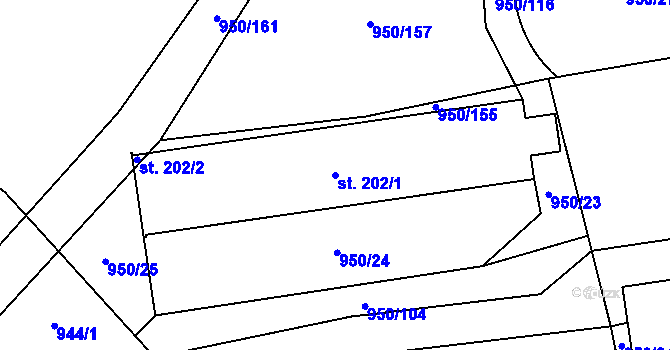 Parcela st. 202/1 v KÚ Radomyšl, Katastrální mapa