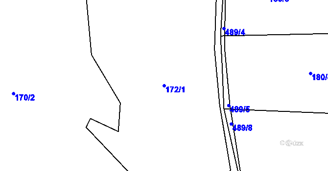 Parcela st. 172/1 v KÚ Radonín, Katastrální mapa