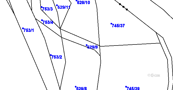 Parcela st. 529/9 v KÚ Radostice u Brna, Katastrální mapa