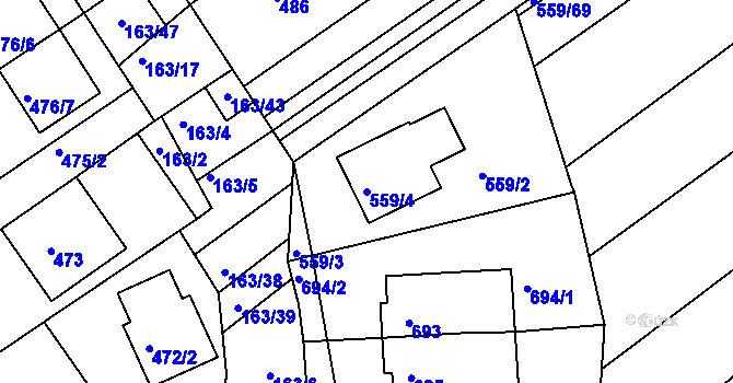 Parcela st. 559/4 v KÚ Radostice u Brna, Katastrální mapa