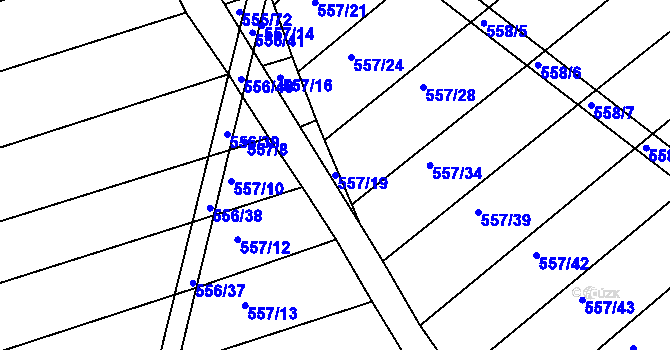 Parcela st. 557/19 v KÚ Radostice u Brna, Katastrální mapa