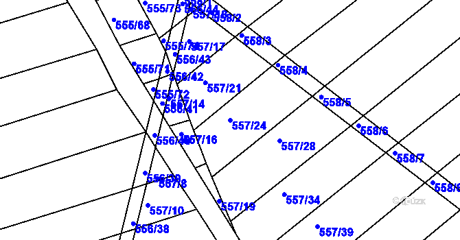 Parcela st. 557/24 v KÚ Radostice u Brna, Katastrální mapa