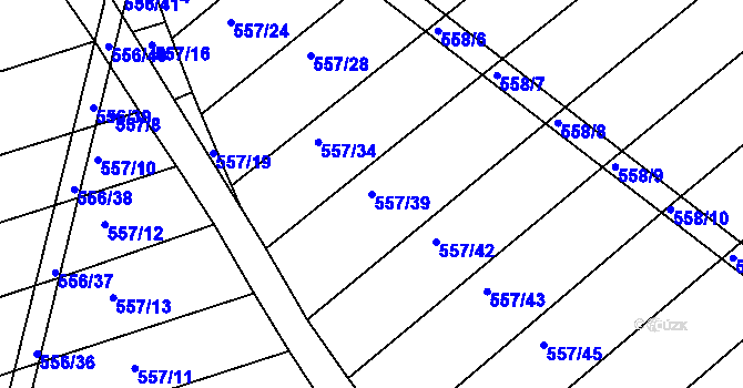 Parcela st. 557/39 v KÚ Radostice u Brna, Katastrální mapa