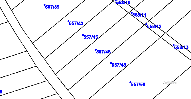 Parcela st. 557/46 v KÚ Radostice u Brna, Katastrální mapa