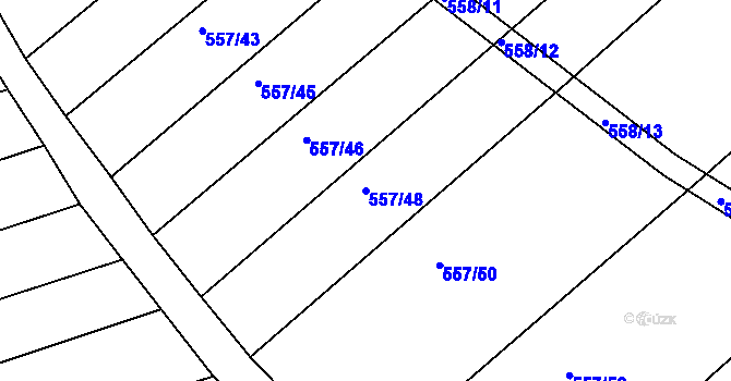Parcela st. 557/48 v KÚ Radostice u Brna, Katastrální mapa