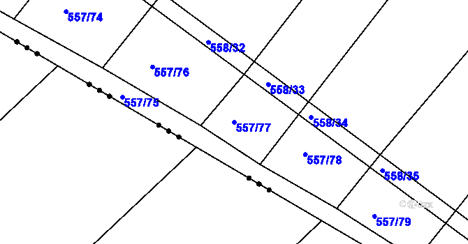 Parcela st. 557/77 v KÚ Radostice u Brna, Katastrální mapa