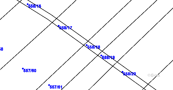 Parcela st. 558/18 v KÚ Radostice u Brna, Katastrální mapa