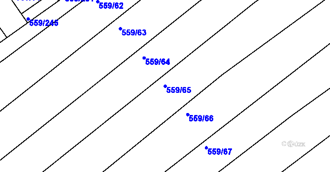 Parcela st. 559/65 v KÚ Radostice u Brna, Katastrální mapa