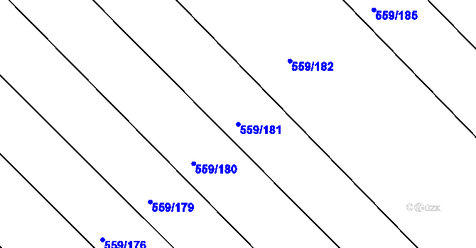 Parcela st. 559/181 v KÚ Radostice u Brna, Katastrální mapa