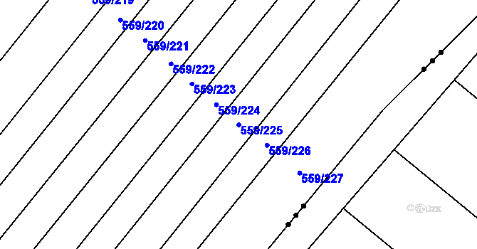 Parcela st. 559/225 v KÚ Radostice u Brna, Katastrální mapa