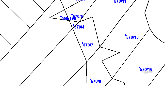 Parcela st. 570/7 v KÚ Radostice u Brna, Katastrální mapa