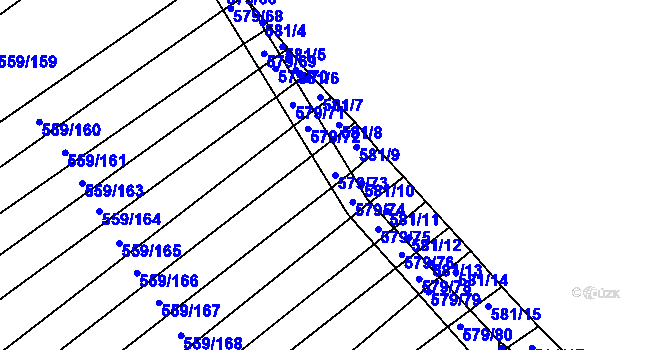 Parcela st. 579/73 v KÚ Radostice u Brna, Katastrální mapa