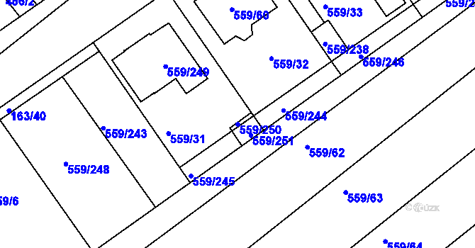 Parcela st. 559/250 v KÚ Radostice u Brna, Katastrální mapa