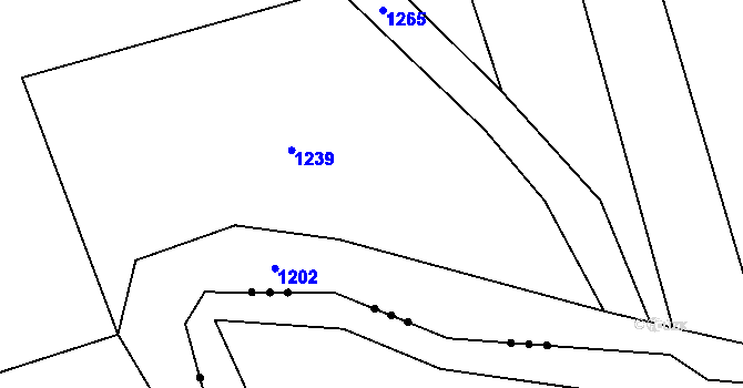 Parcela st. 867/1 v KÚ Radostín u Sychrova, Katastrální mapa