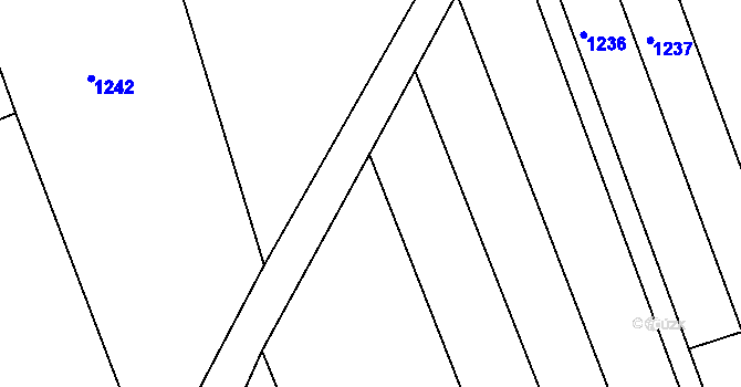 Parcela st. 867/42 v KÚ Radostín u Sychrova, Katastrální mapa