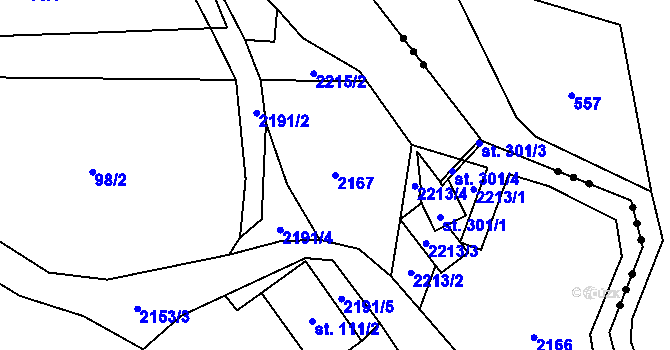 Parcela st. 2167 v KÚ Radostín nad Oslavou, Katastrální mapa