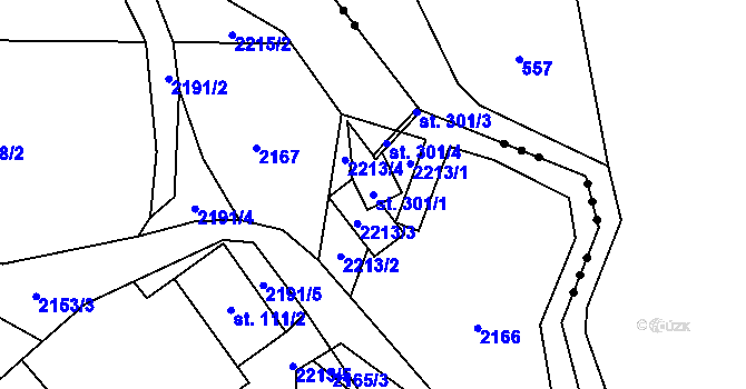Parcela st. 301/1 v KÚ Radostín nad Oslavou, Katastrální mapa