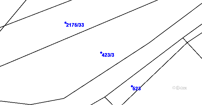 Parcela st. 423/3 v KÚ Radostín nad Oslavou, Katastrální mapa