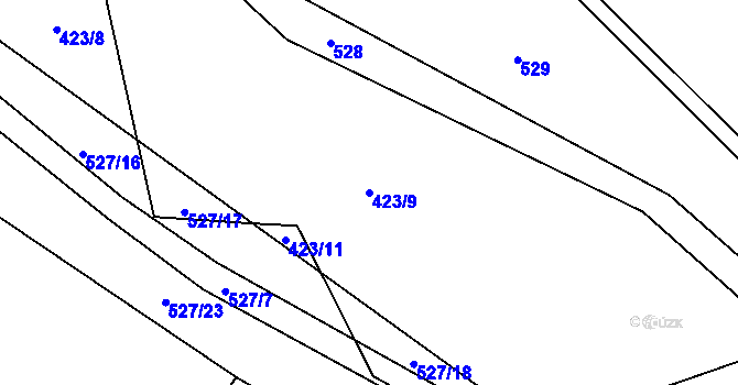 Parcela st. 423/9 v KÚ Radostín nad Oslavou, Katastrální mapa