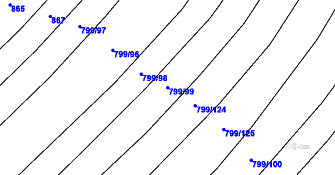 Parcela st. 799/99 v KÚ Radostín nad Oslavou, Katastrální mapa